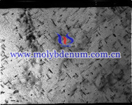 moly carbide needles